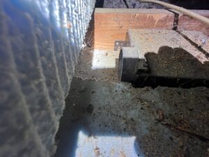 IMG_2785